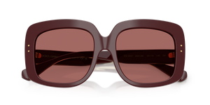 Bordeaux / Dark Violet (309169)