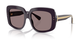 Aubergine / Dark Purple (35017N)