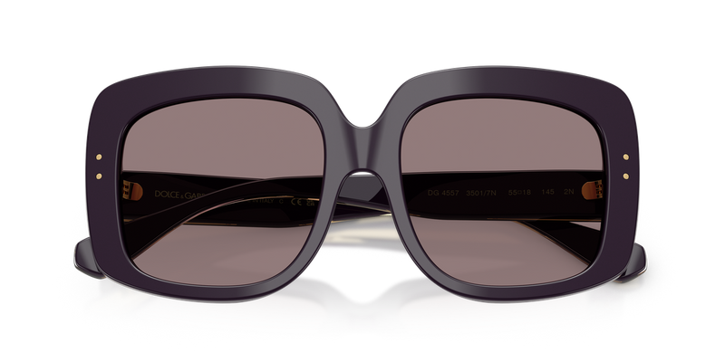 Dolce & Gabbana DG4557 in Aubergine - Alternate View