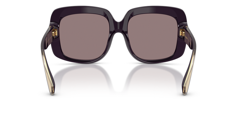 Dolce & Gabbana DG4557 in Aubergine - Alternate View