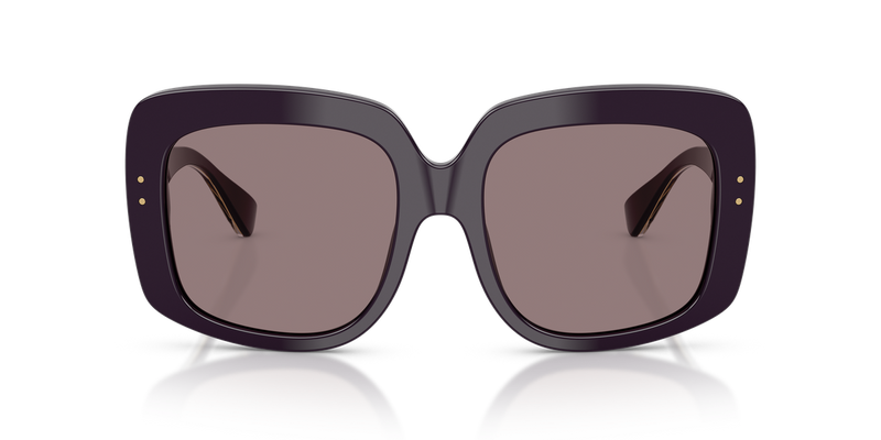 Dolce & Gabbana DG4557 in Aubergine - Alternate View