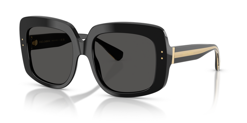 Dolce & Gabbana DG4557 in Black - Alternate View