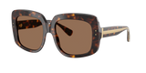 Havana / Dark Brown (502/73)