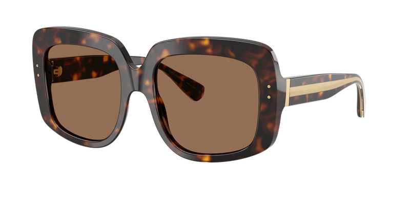 Dolce & Gabbana DG4557 in Havana - Alternate View