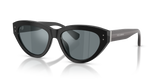 Black / Grey Mirror Black (501/6G)