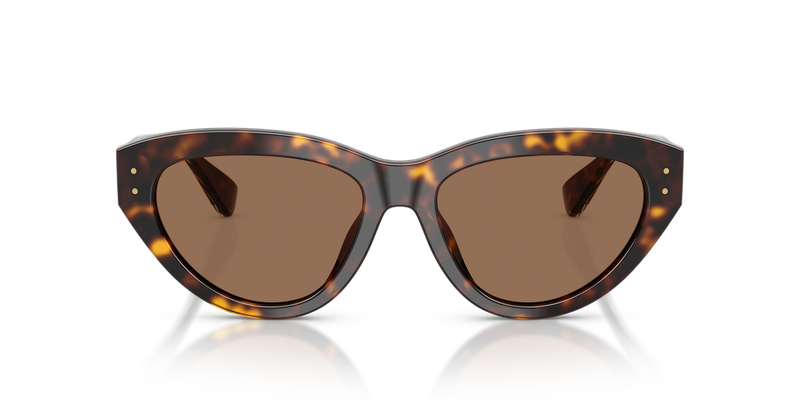 Dolce & Gabbana DG4558 in Havana - Alternate View