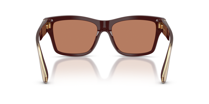 Dolce & Gabbana DG4559 in Chocolate - Temple Detail