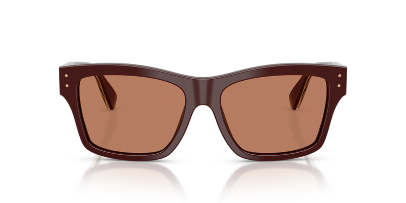 Dolce & Gabbana DG4559 in Chocolate - Alternate View