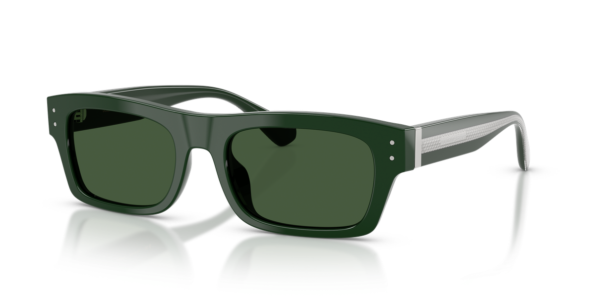 Dolce & Gabbana DG4560