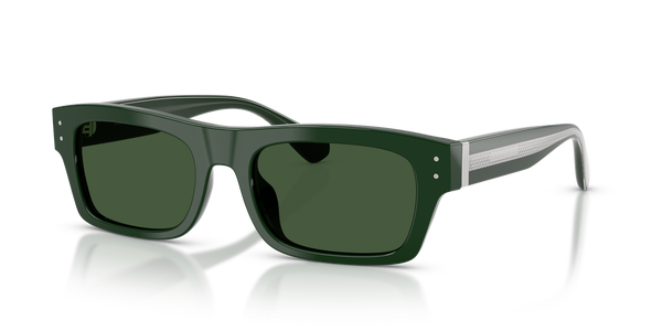 Dolce & Gabbana DG4560
