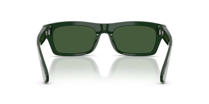 Dolce & Gabbana DG4560 in Green (331182) - Temple Detail