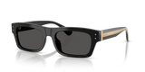 Black / Dark Grey (501/87)