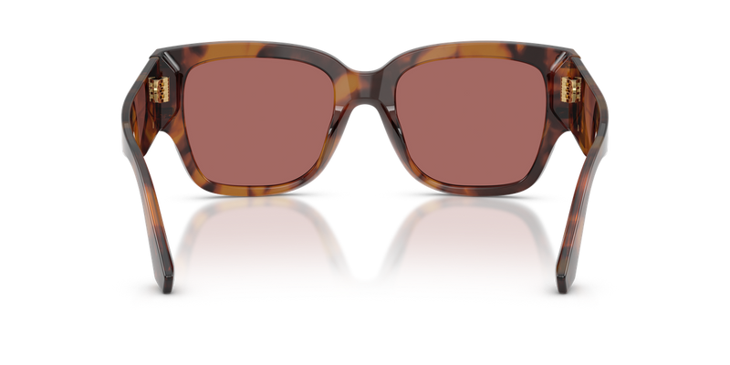 Dolce & Gabbana DG4563 in Red Havana - Alternate View