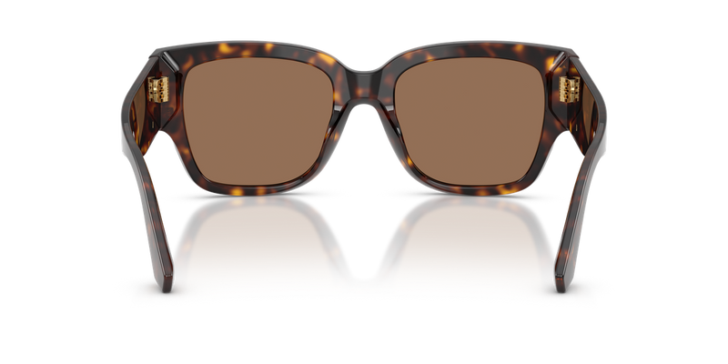Dolce & Gabbana DG4563 in Havana - Alternate View