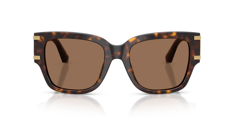 Dolce & Gabbana DG4563 in Havana - Alternate View