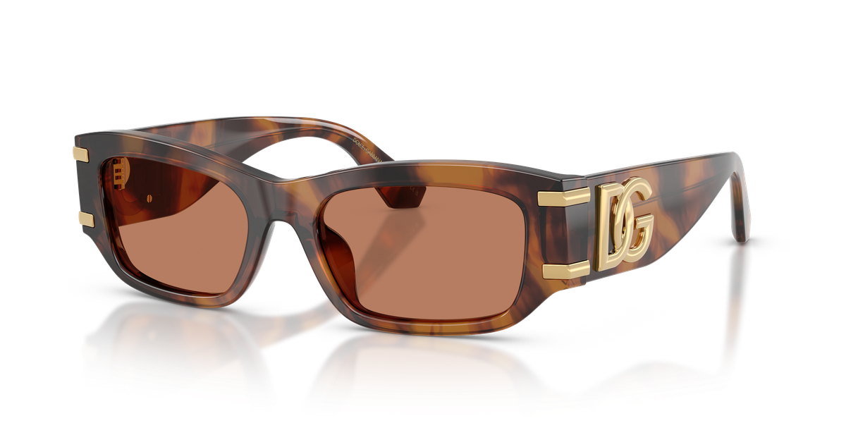 Dolce & Gabbana DG4564