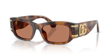 Red Havana / Brown (3497/3)