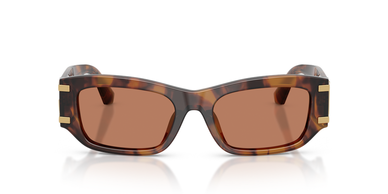Dolce & Gabbana DG4564 in Red Havana - Alternate View