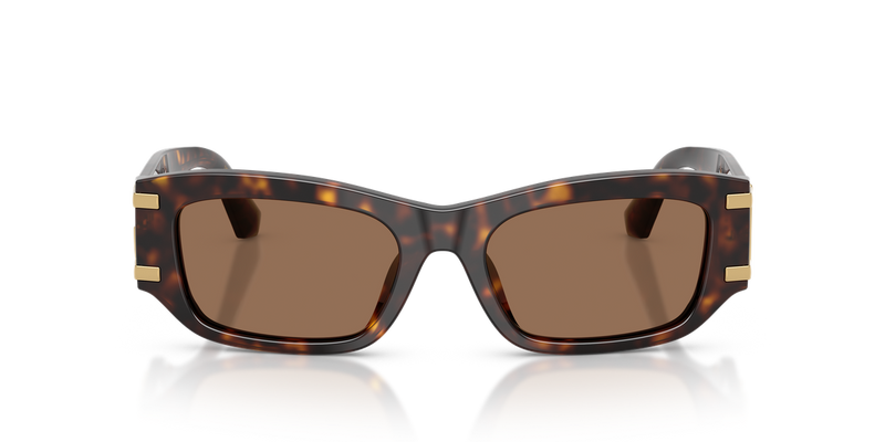 Dolce & Gabbana DG4564 in Havana - Alternate View