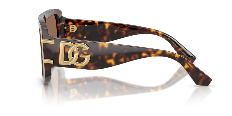 Dolce & Gabbana DG4565 in Havana - Alternate View