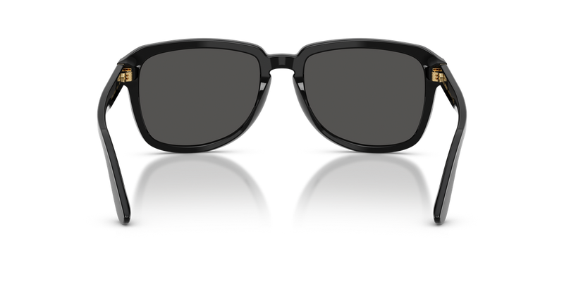 Dolce & Gabbana DG4566 in Black - Alternate View