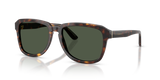 Havana / Dark Green Polarized (502/9A)