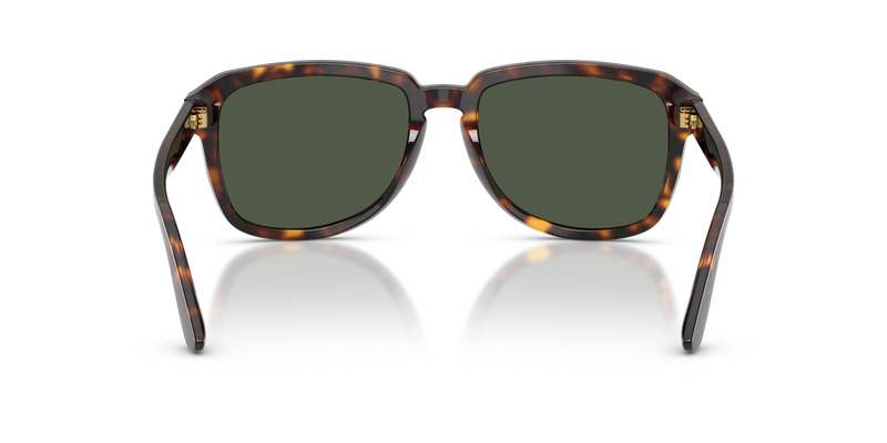 Dolce & Gabbana DG4566 in Havana - Alternate View