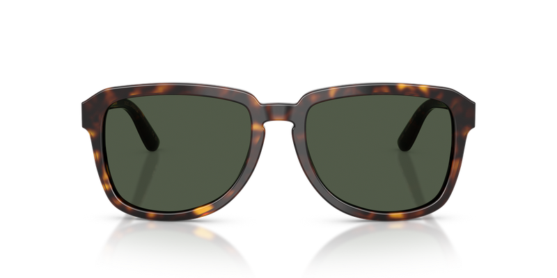 Dolce & Gabbana DG4566 in Havana - Alternate View