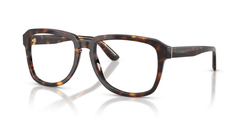 Dolce & Gabbana DG4566 in Havana - Alternate View