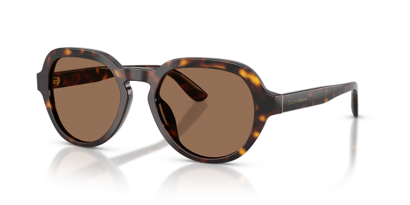 Dolce & Gabbana DG4567 in Havana - Alternate View