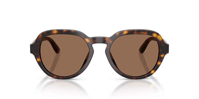 Dolce & Gabbana DG4567 in Havana - Alternate View