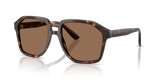 Havana / Dark Brown (502/73)