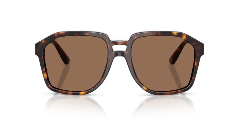 Dolce & Gabbana DG4568 in Havana - Alternate View