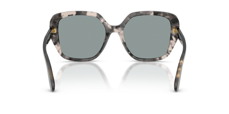 Dolce & Gabbana DG4569 in Grey Havana - Temple Detail