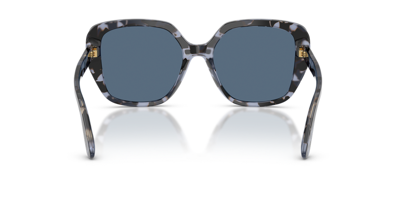 Dolce & Gabbana DG4569 in Blue Havana - Alternate View