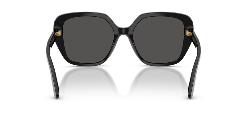 Dolce & Gabbana DG4569 in Black - Alternate View