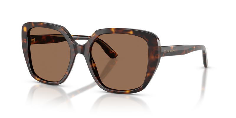 Dolce & Gabbana DG4569 in Havana - Alternate View