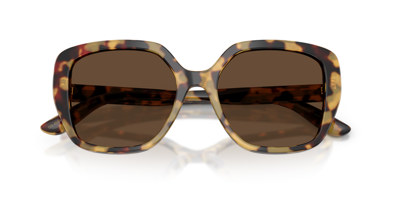 Dolce & Gabbana DG4569 in Yellow Havana - Alternate View