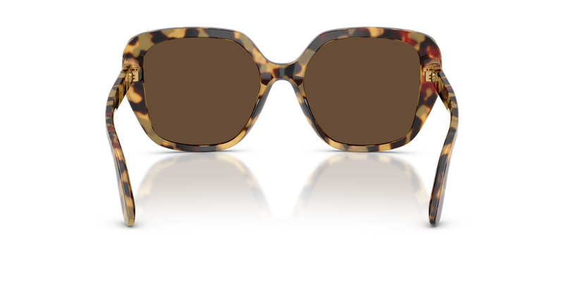Dolce & Gabbana DG4569 in Yellow Havana - Alternate View