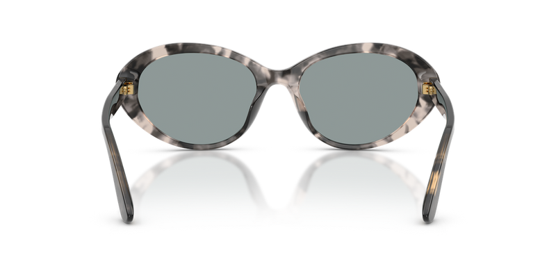 Dolce & Gabbana DG4570 in Grey Havana - Temple Detail
