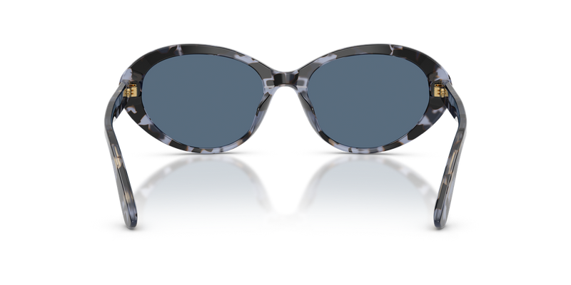 Dolce & Gabbana DG4570 in Blue Havana - Alternate View