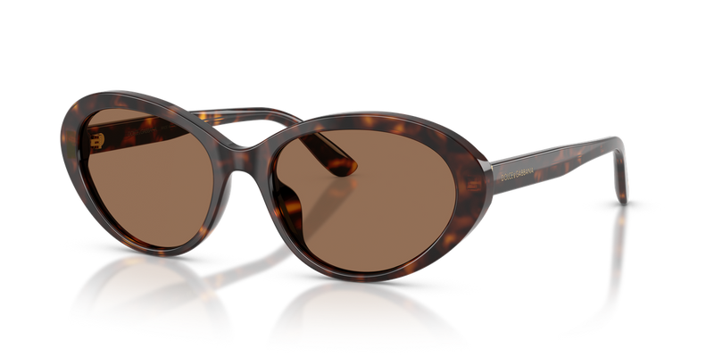 Dolce & Gabbana DG4570 in Havana - Alternate View