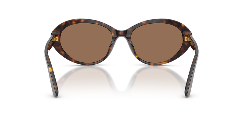 Dolce & Gabbana DG4570 in Havana - Alternate View
