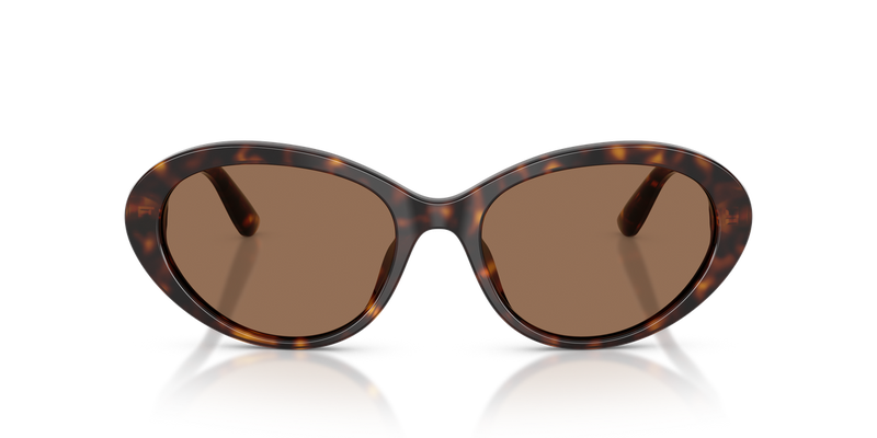 Dolce & Gabbana DG4570 in Havana - Alternate View