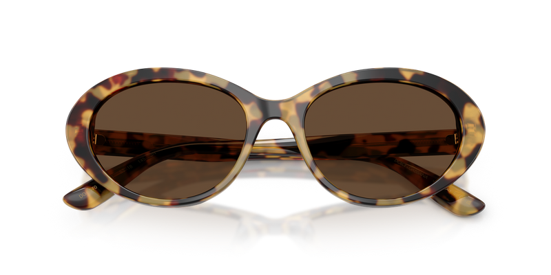 Dolce & Gabbana DG4570 in Yellow Havana - Alternate View
