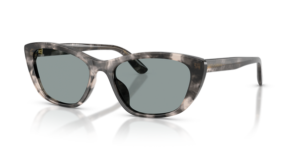Dolce & Gabbana DG4571