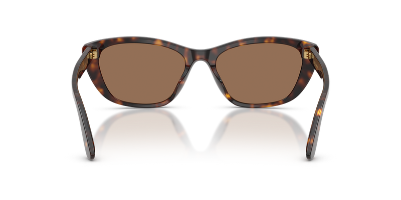 Dolce & Gabbana DG4571 in Havana - Alternate View