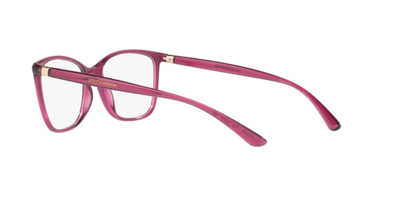 Dolce & Gabbana DG5026 in Transparent Dark Cherry - Alternate View