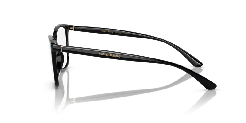 Dolce & Gabbana DG5026 in Black / Demo Lens (501) - Back View