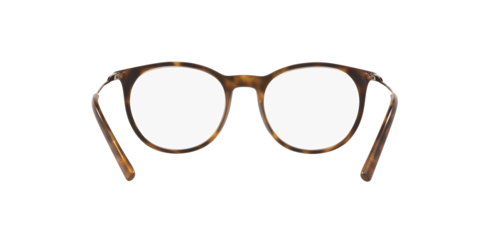 Dolce & Gabbana DG5031 in Matte Havana / Demo Lens (1935) - Back View